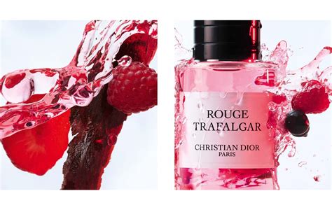 rouge trafalgar christian dior price